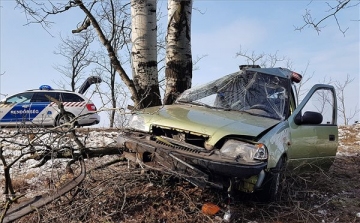 Fának csapódott és meghalt egy autós Pirtó közelében