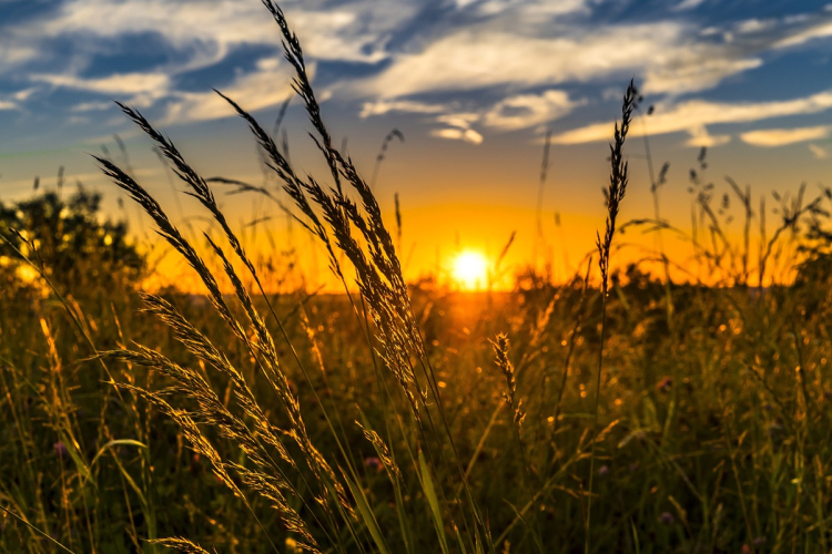 Nyugodt, őszies idő várható a hétvégén, sok napsütéssel